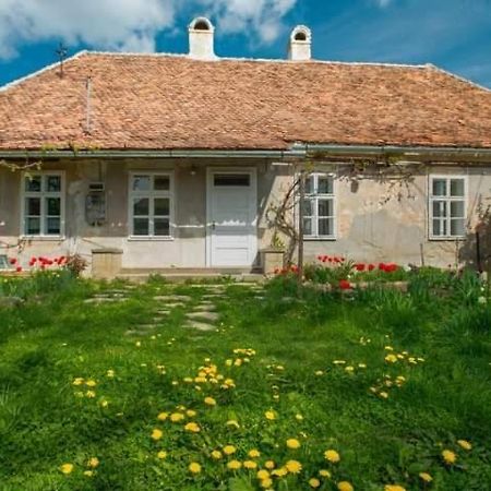 Gaestehaus Fogarasch Fagaras Exterior photo