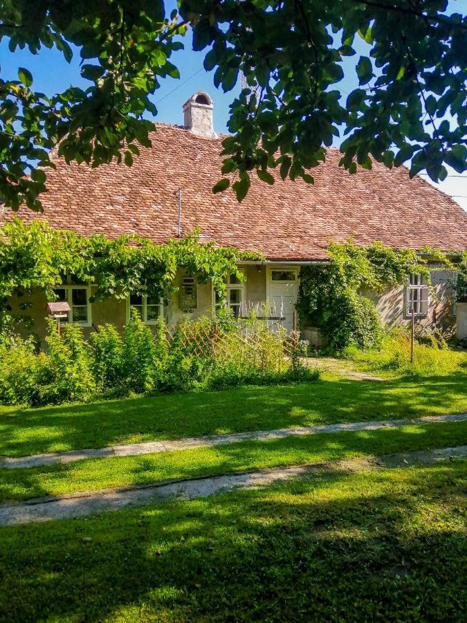 Gaestehaus Fogarasch Fagaras Exterior photo