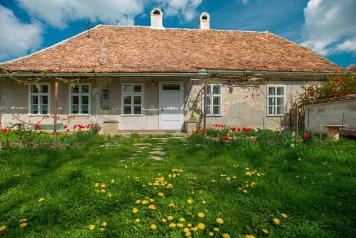 Gaestehaus Fogarasch Fagaras Exterior photo